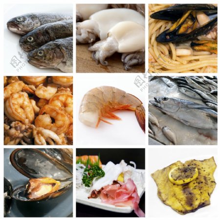 各种海鲜和食物