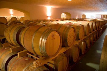红酒酿制窖图片