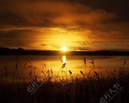 湖边草丛夕阳风光高清图片