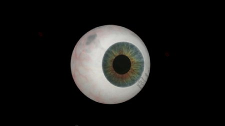 眼球三维动画视频