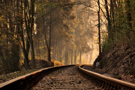 森林中的铁路