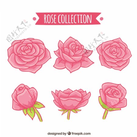 手绘风格六朵玫瑰矢量素材
