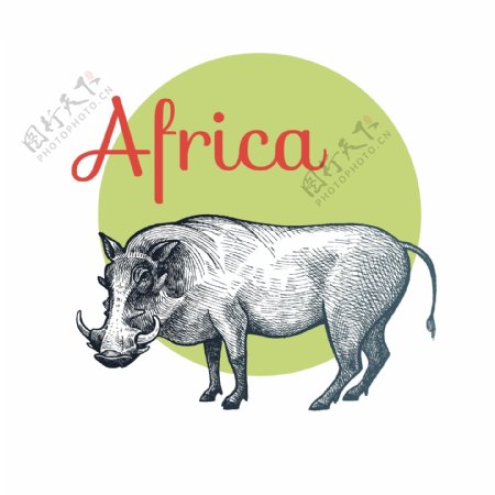手绘非洲犀牛矢量素材下载