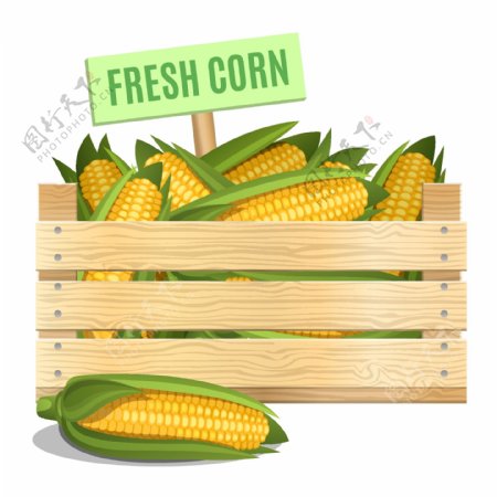 新鲜玉米图案矢量素材下载