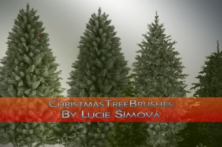 真实的圣诞树松树photoshop笔刷素材下载