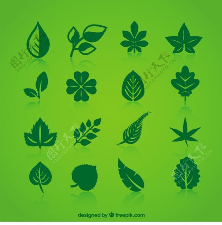 绿色树叶图标收藏