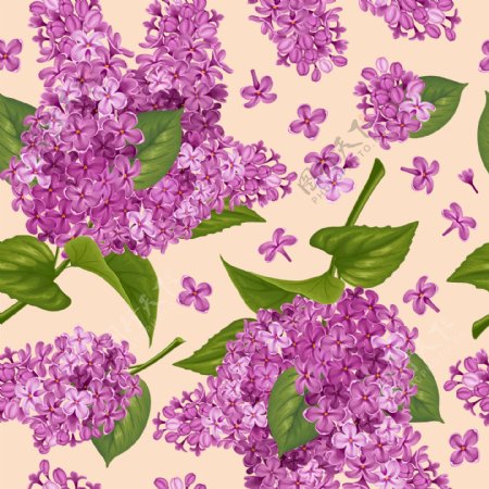 紫色丁香花图案矢量素材下载