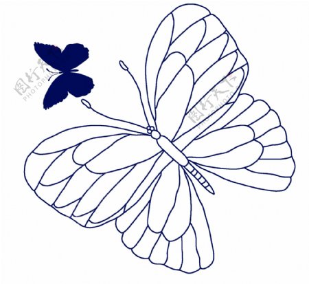 蝴蝶彩绘动物分层PSD0016