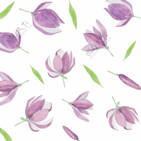 紫花水彩图案