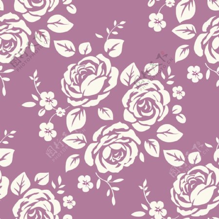 紫色玫瑰花纹