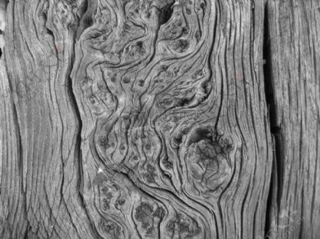 古老腐朽的木材