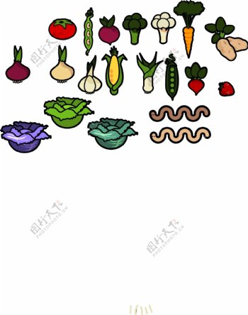 西红柿花菜萝卜土豆洋葱等蔬菜矢量图