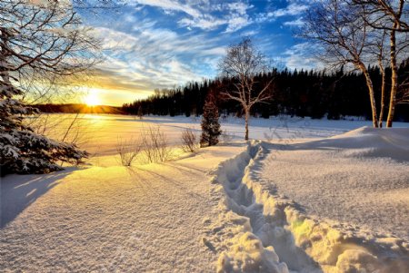 冬天雪地里的太阳高清素材背景图片