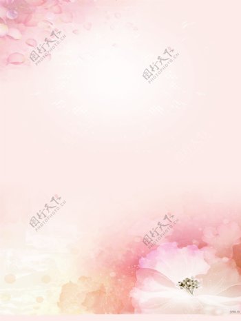 粉色花背景