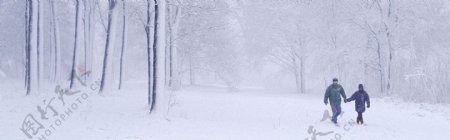 冬天雪景背景素材2