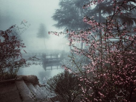 雾中九华山图片
