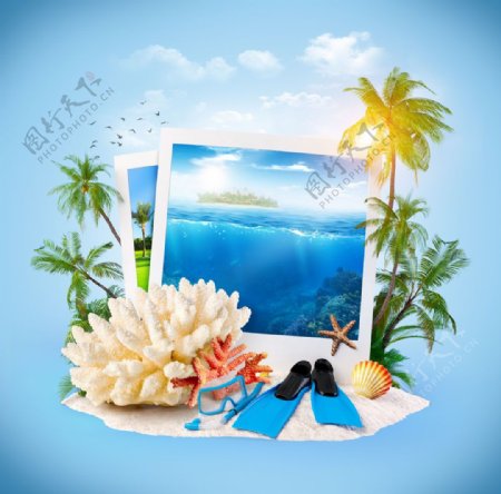 沙滩上的椰子树与海底照片