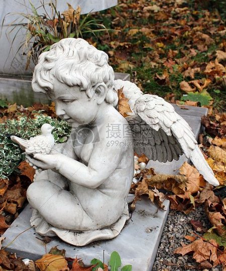 旧坟场的小天使