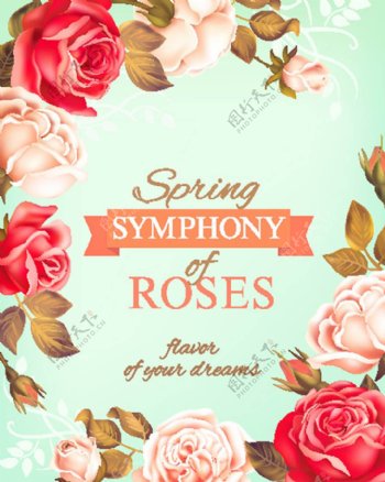 春季玫瑰花矢量海报背景
