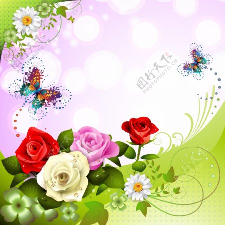美丽鲜花背景与蝴蝶
