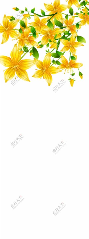精美金黄色花朵展板背景
