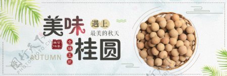 彩色小清新桂圆水果鲜果美食电商banner淘宝海报