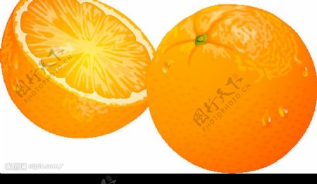 手繪柳橙