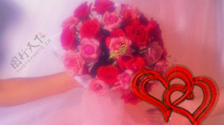 浪漫婚礼爱心玫瑰动态视频素材