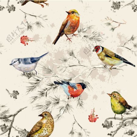 精致风格手绘鸟类壁纸图案装饰设计