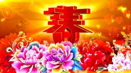 中国农历新年春节春暖花开喜庆