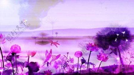 粉紫梦幻烟云淡雅花卉视频素材
