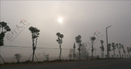 大雾下的乡村公路