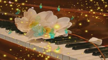 花瓣中钢琴弹奏