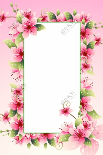 红色粉色花朵边框背景