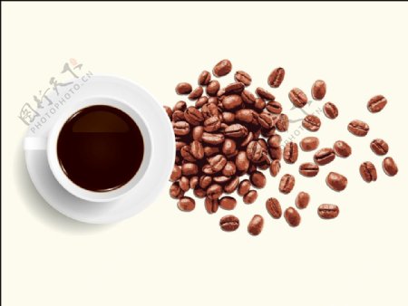 矢量咖啡咖啡豆主题元素插画