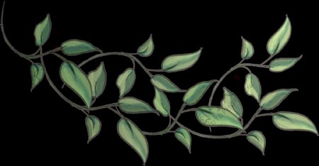 手绘简笔植物画装饰图案