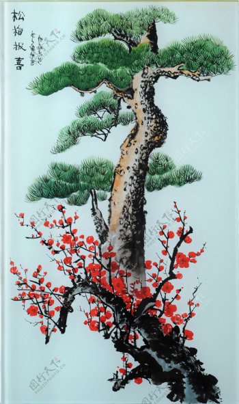 梅花松树高清摄影