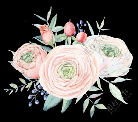 手绘朵粉红色的玫瑰透明装饰图案