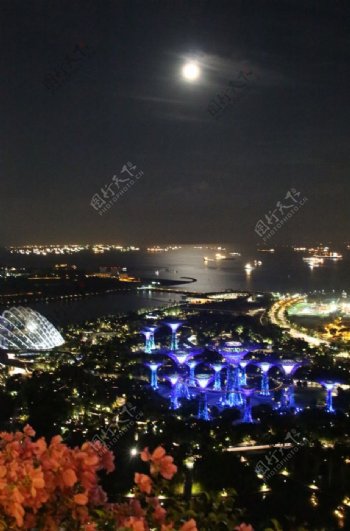 新加坡夜景