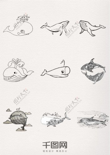 手绘鲸鱼装饰图案