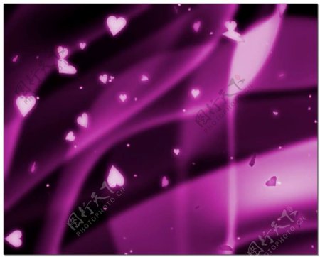 浪漫紫色婚礼装扮视频素材