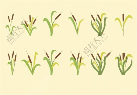 稻草植物矢量素材