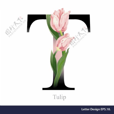 热带花苞英文字母字体设计