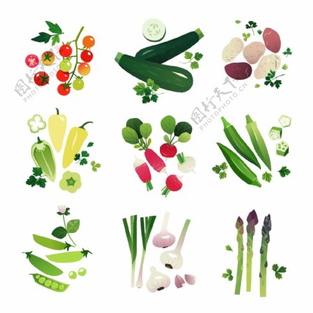 手绘蔬菜元素插画