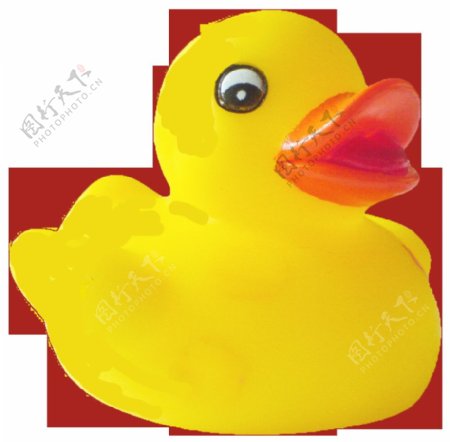 可爱小黄鸭免抠png透明素材
