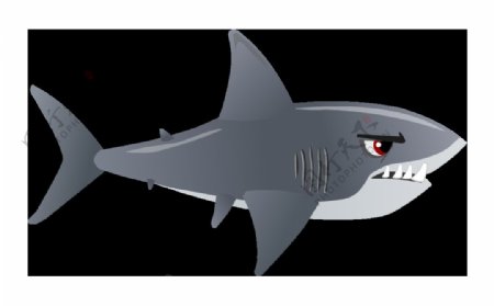 蓝灰色鲨鱼免抠png透明图层素材