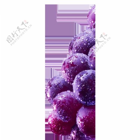 新鲜水果葡萄元素