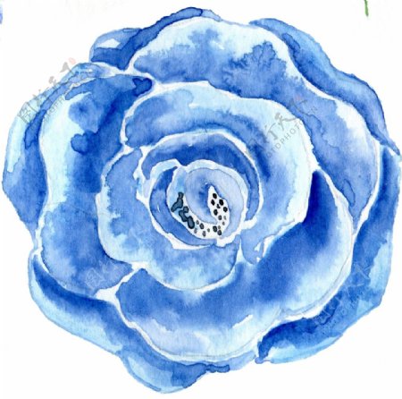蓝色渐变水彩花卉透明素材