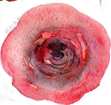 红色美丽花卉卡通透明素材