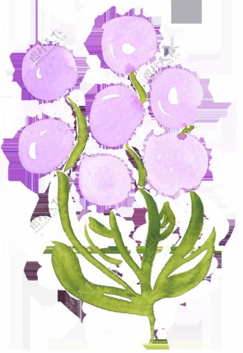 紫色花球卡通透明素材